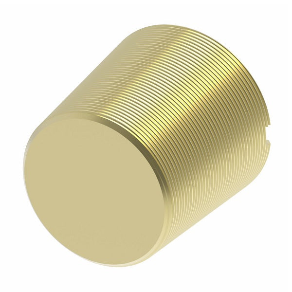 3150X4Z by Danfoss | Pipe Adapter | Slotted Plug | 1/4" Male NPTF (Short Thread) (with Sealant) | Brass