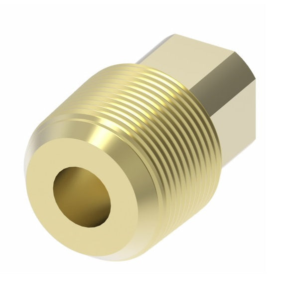 3151X2Z by Danfoss | Pipe Adapter | Square Head Plug (with Sealant) | 1/8" Male NPTF (Short Thread) | Brass