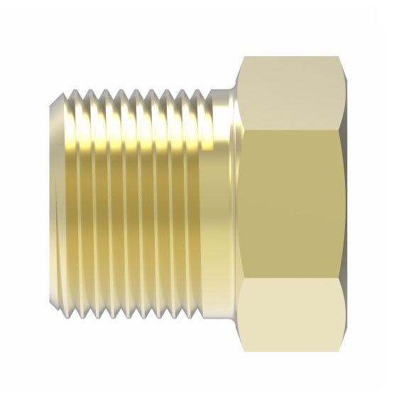 3152X2 by Danfoss | Pipe Adapter | Hex Head Plug | 1/8" Male NPTF (Short Thread) | Brass