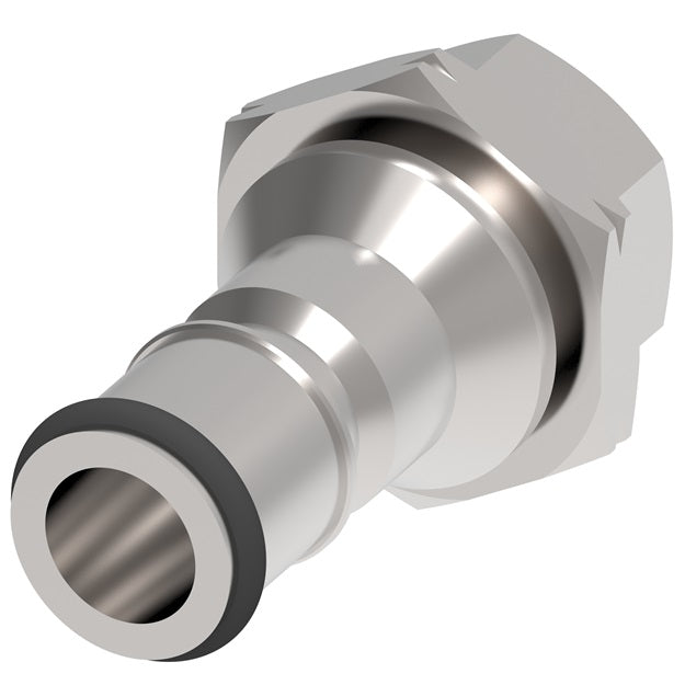 2KLF16 Hansen® by Danfoss | Food & Beverage Quick Disconnect Coupling | 2HKGL Series | 1/4" Female NPT x 1/4" Body Size | Plug for Liquid | NBR Seal | Stainless Steel