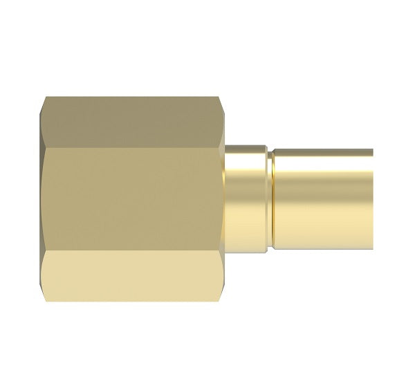 B-2104-2 Weatherhead by Danfoss | Everswage | Female Pipe Crimp Fitting for Everflex Hose | 3/16" Hose Barb x 1/4" Female NPTF | Brass
