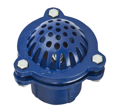 FV250 by Kuriyama | Foot Valve Strainer | 2-1/2" Female NPT