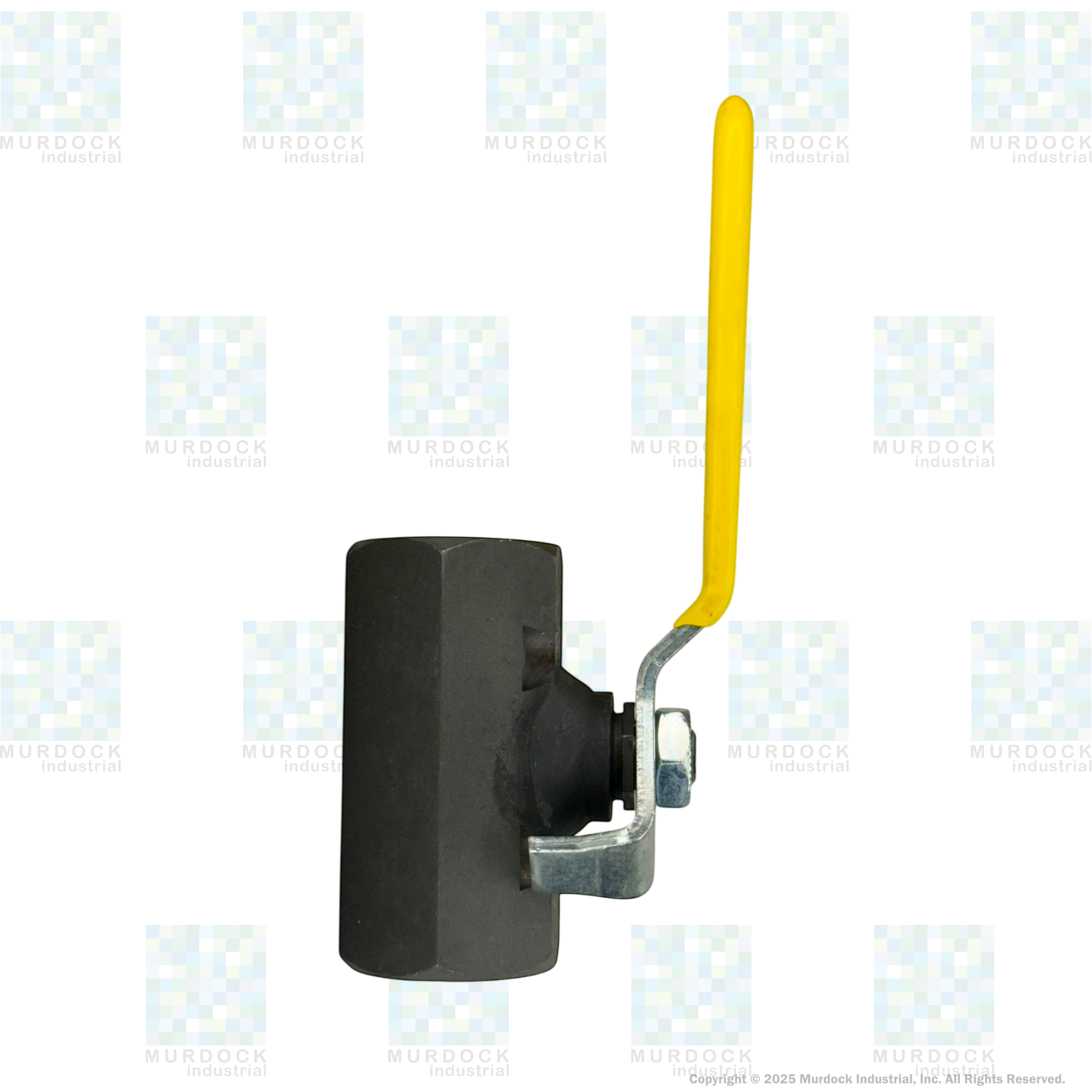 IBV100 by Dixon Valve | Ball Valve | Standard Port | 1" Female NPT x 1" Female NPT | Carbon Steel