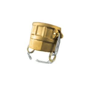 D250B by Jason Industrial | 2-1/2" Cam and Groove | Part D | Female Coupler x Female NPT Thread | Brass