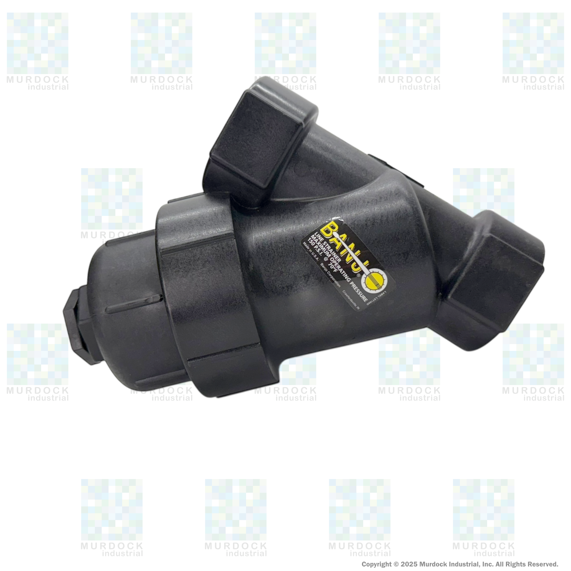 LS100-20 by Banjo | Line Y Strainer | 1" x 1" Female NPT with 20 Mesh Stainless Steel Screen | 200 PSI | Polypropylene