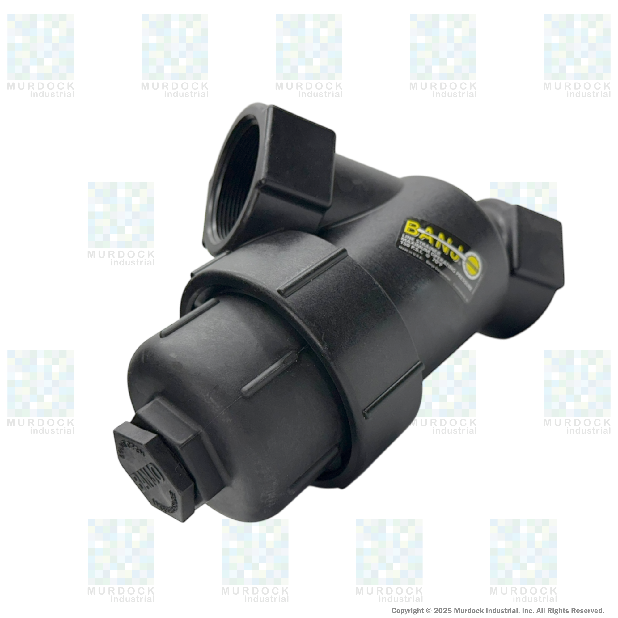LS100-20 by Banjo | Line Y Strainer | 1" x 1" Female NPT with 20 Mesh Stainless Steel Screen | 200 PSI | Polypropylene