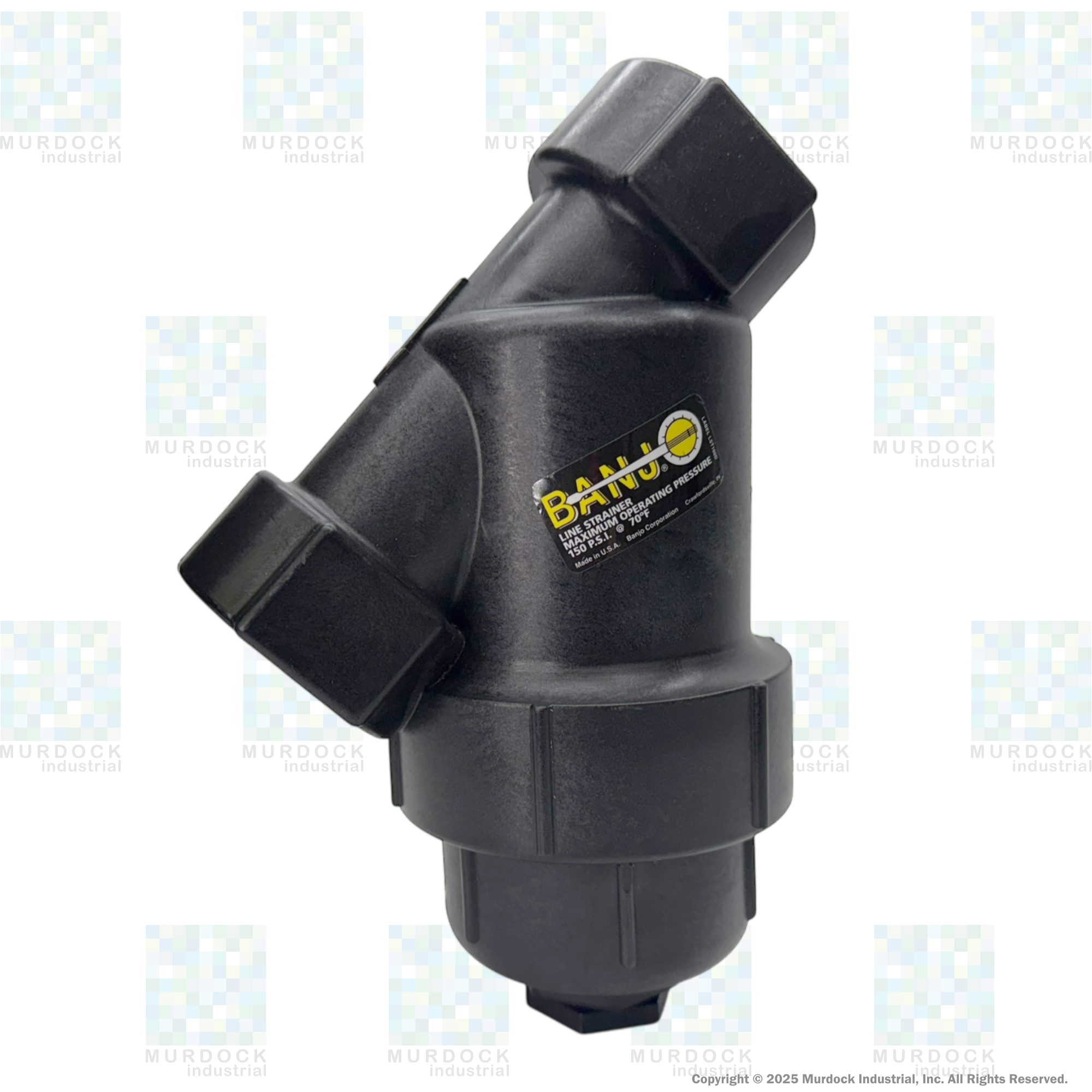 LS200-30 by Banjo | Line Y Strainer | 2" x 2" Female NPT with 30 Mesh Stainless Steel Screen | 150 PSI | Polypropylene