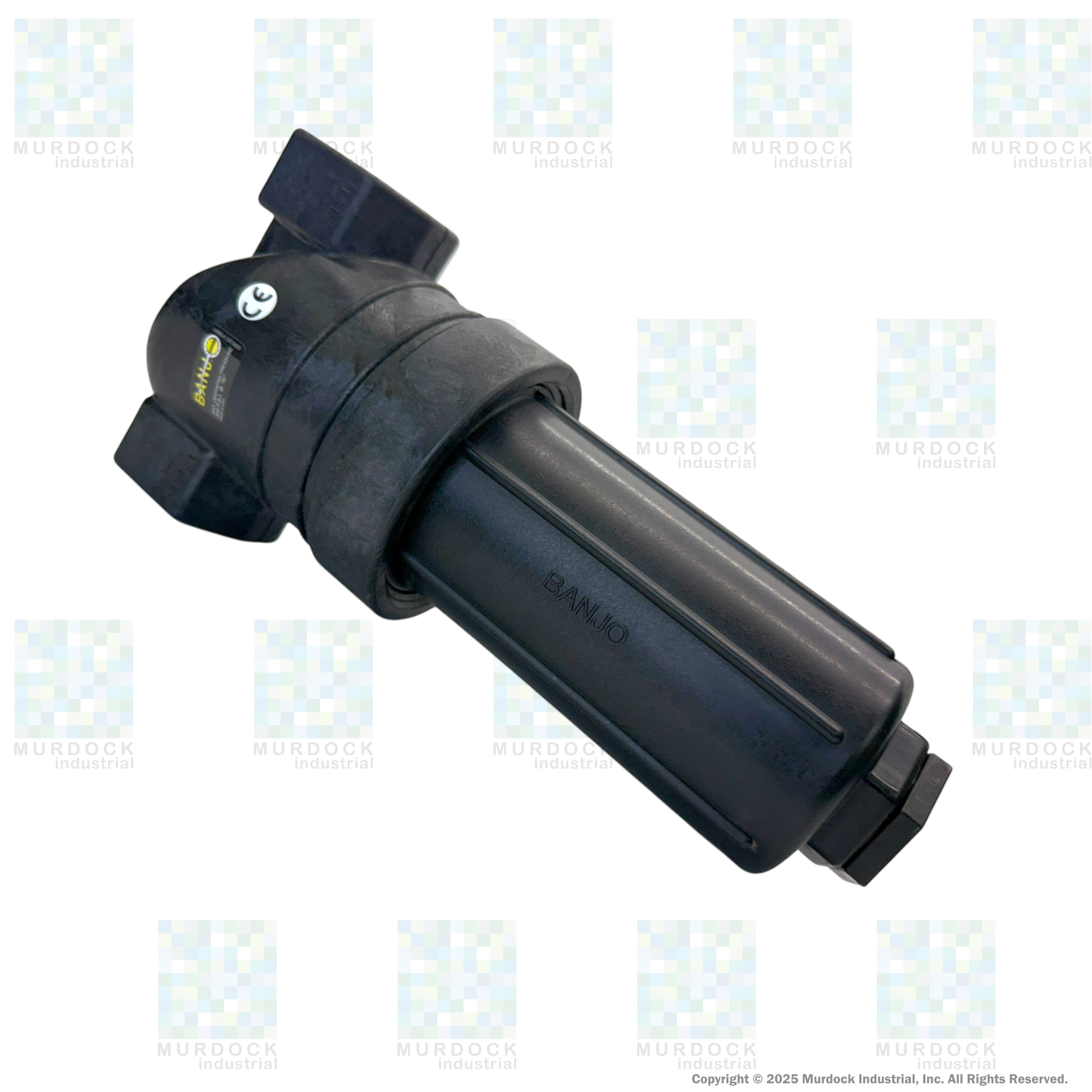 LST100-80 by Banjo | T Line Strainer | 1" x 1" Female NPT with 80 Mesh Stainless Steel Screen | 300 PSI | Polypropylene