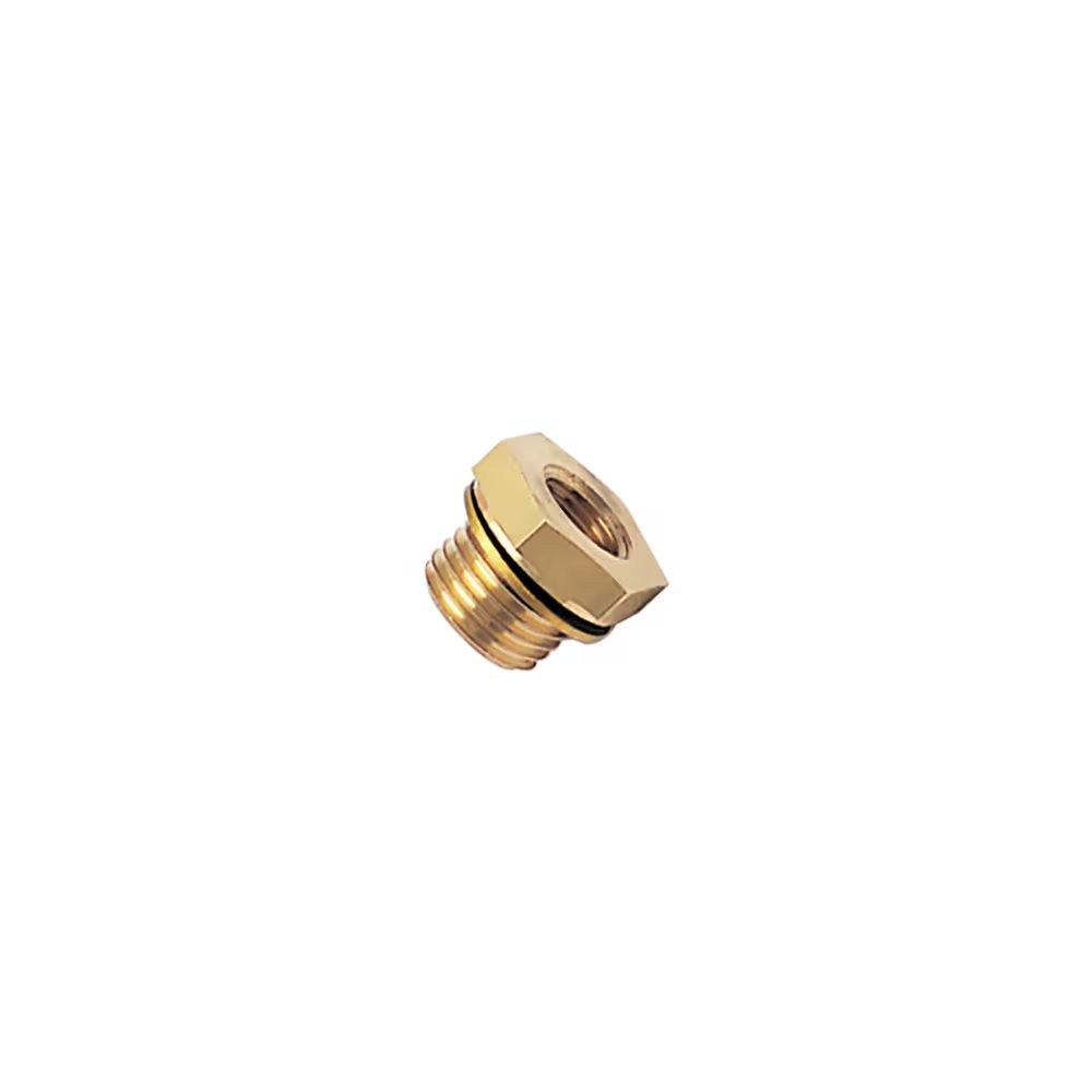 0168 13 19 39 by Parker | Legris Reducer w/ Bi-Material Seal | 1/4" Male BSPP Thread x M5x0.8 Female M5 Metric Thread | 17 mm Hex | 13 mm Length | Straight | Brass | Pack of 10