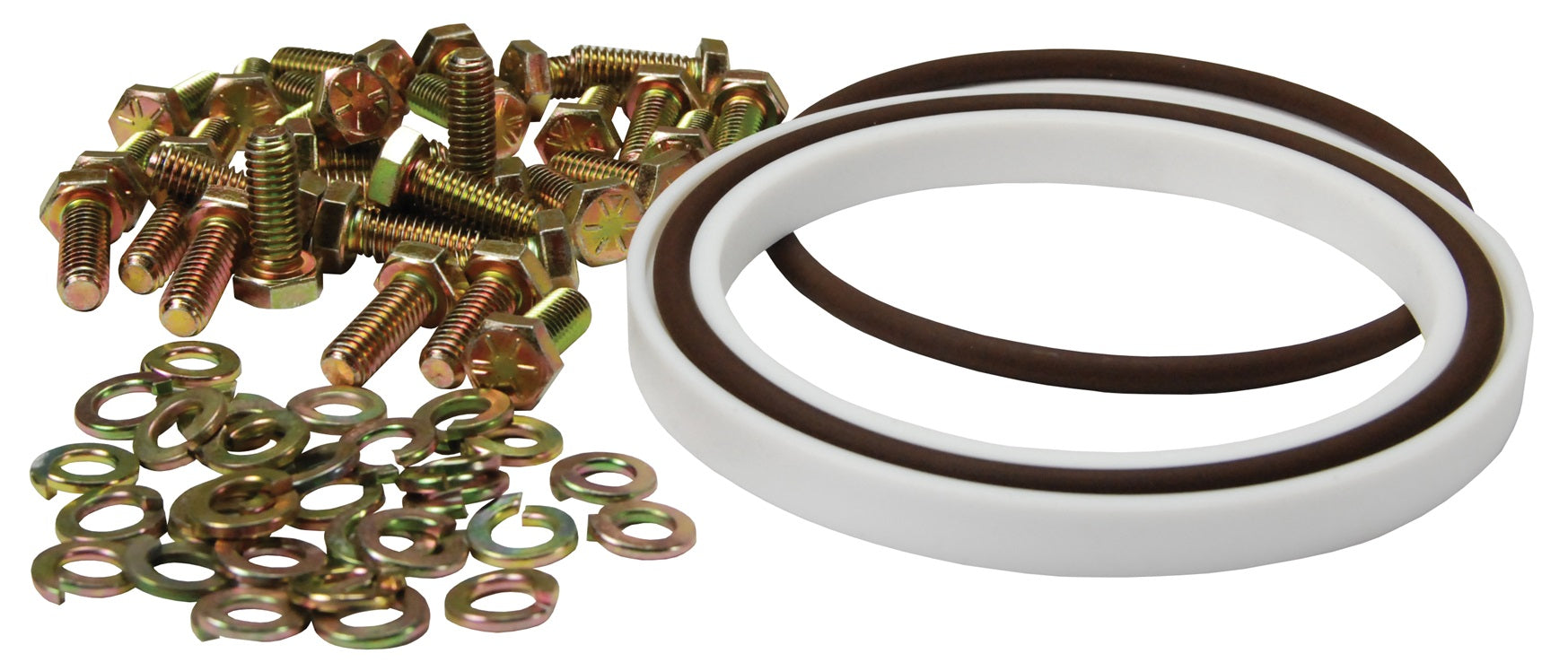 2SFSK-VI by Dixon Valve | Split Flange Swivel Seal Kit | 2" Size | FKM Seal