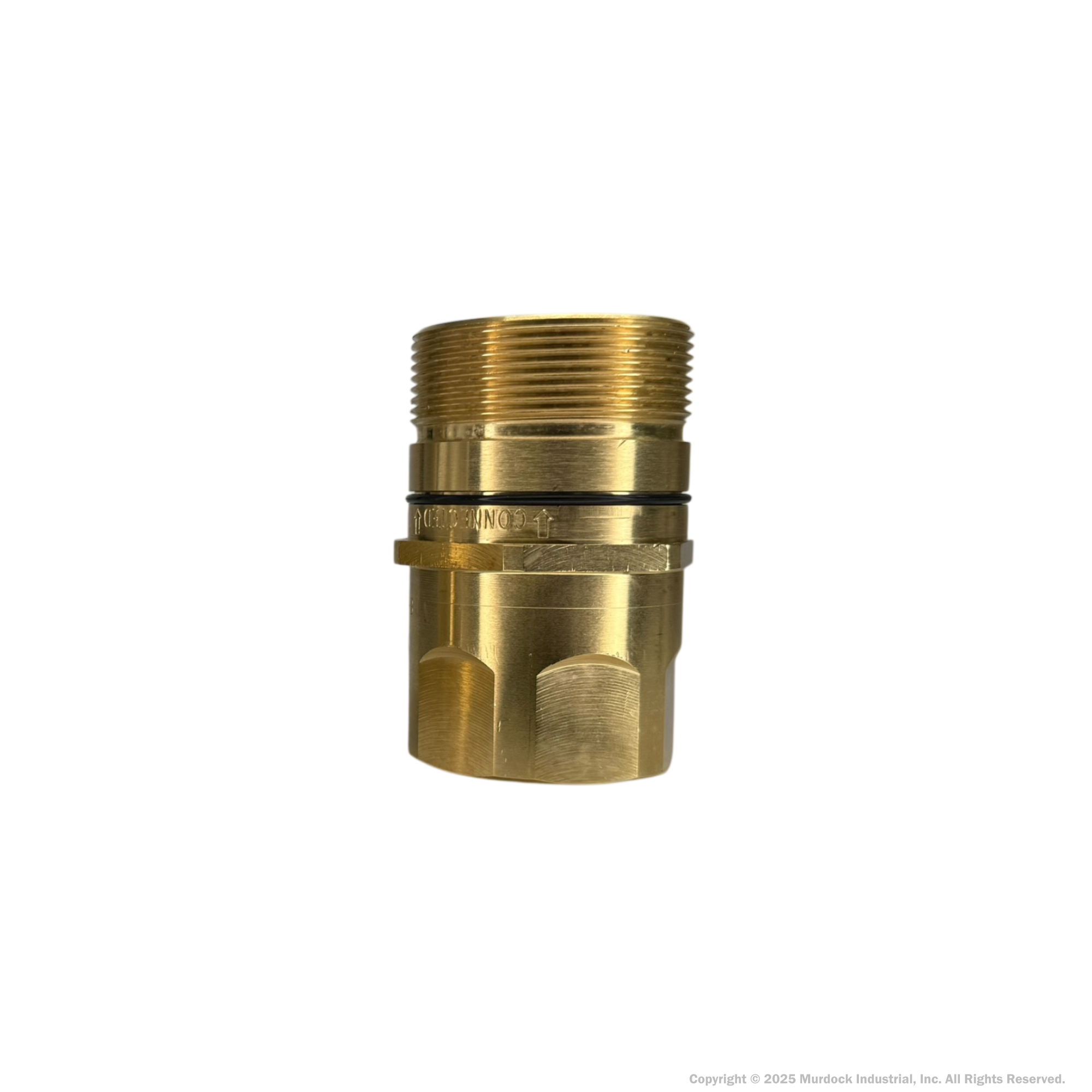 W12F12-B by Dixon Valve | Hydraulic Quick Disconnect Coupling | W-Series | 1-1/2" Female NPTF x 1-1/2" Wingstyle Interchange | Plug | Nitrile Seal | Brass