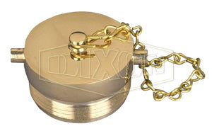 FP250F-P Dixon Polished Cast Brass Plug with Chain - Pin Lug - 2-1/2" Male NST(NH)
