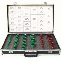AE7591 BSPP/ BSPT / DIN / ISO / GAZ / METRIC EN Standards Thread ID Suitcase Kit (Both Male and Female)