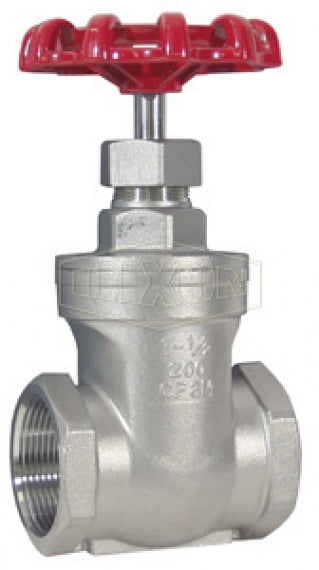 SSGV50 by Dixon Valve | Gate Valve | 1/2" Female NPT x 1/2" Female NPT | 316 Stainless Steel