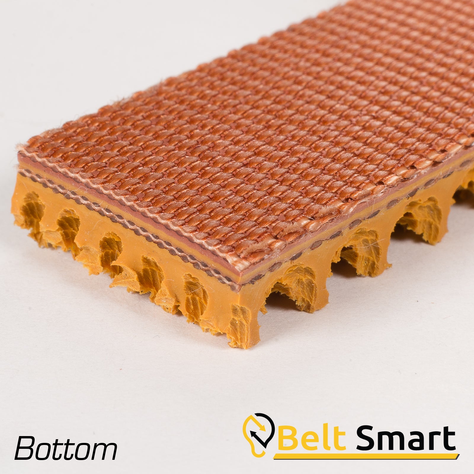 BS055- #55 Beltservice 2 Ply 150 Tan Roughtop x Bare Conveyor Belt