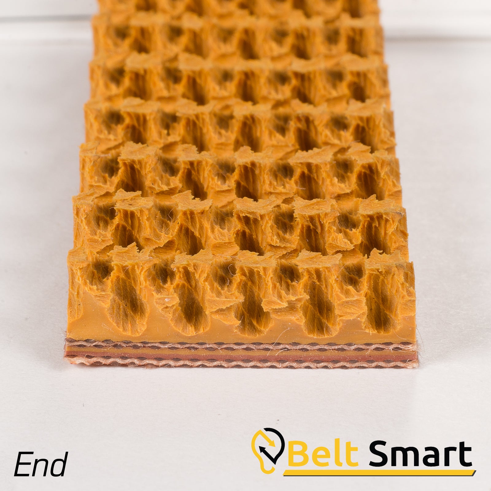BS055- #55 Beltservice 2 Ply 150 Tan Roughtop x Bare Conveyor Belt