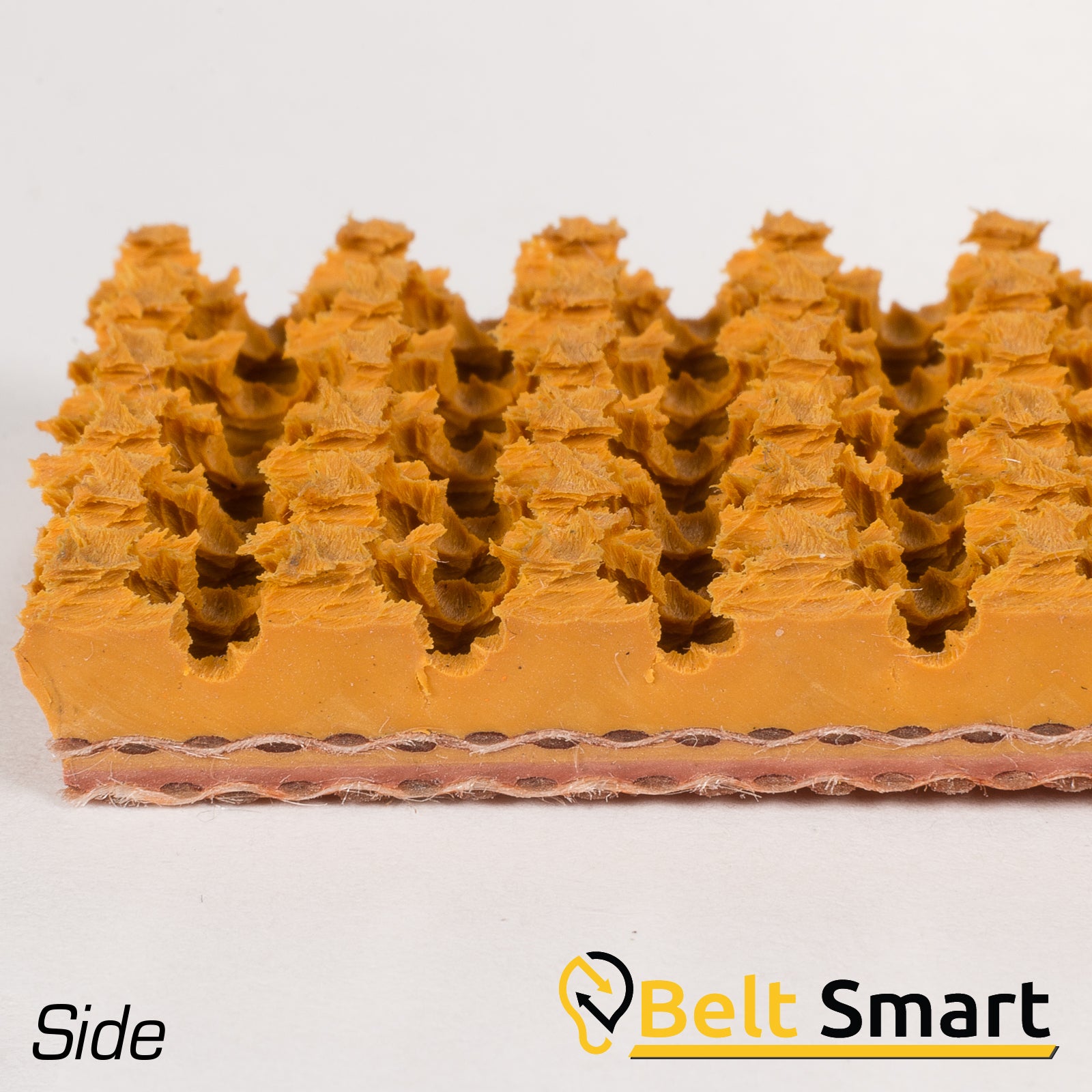 BS055- #55 Beltservice 2 Ply 150 Tan Roughtop x Bare Conveyor Belt