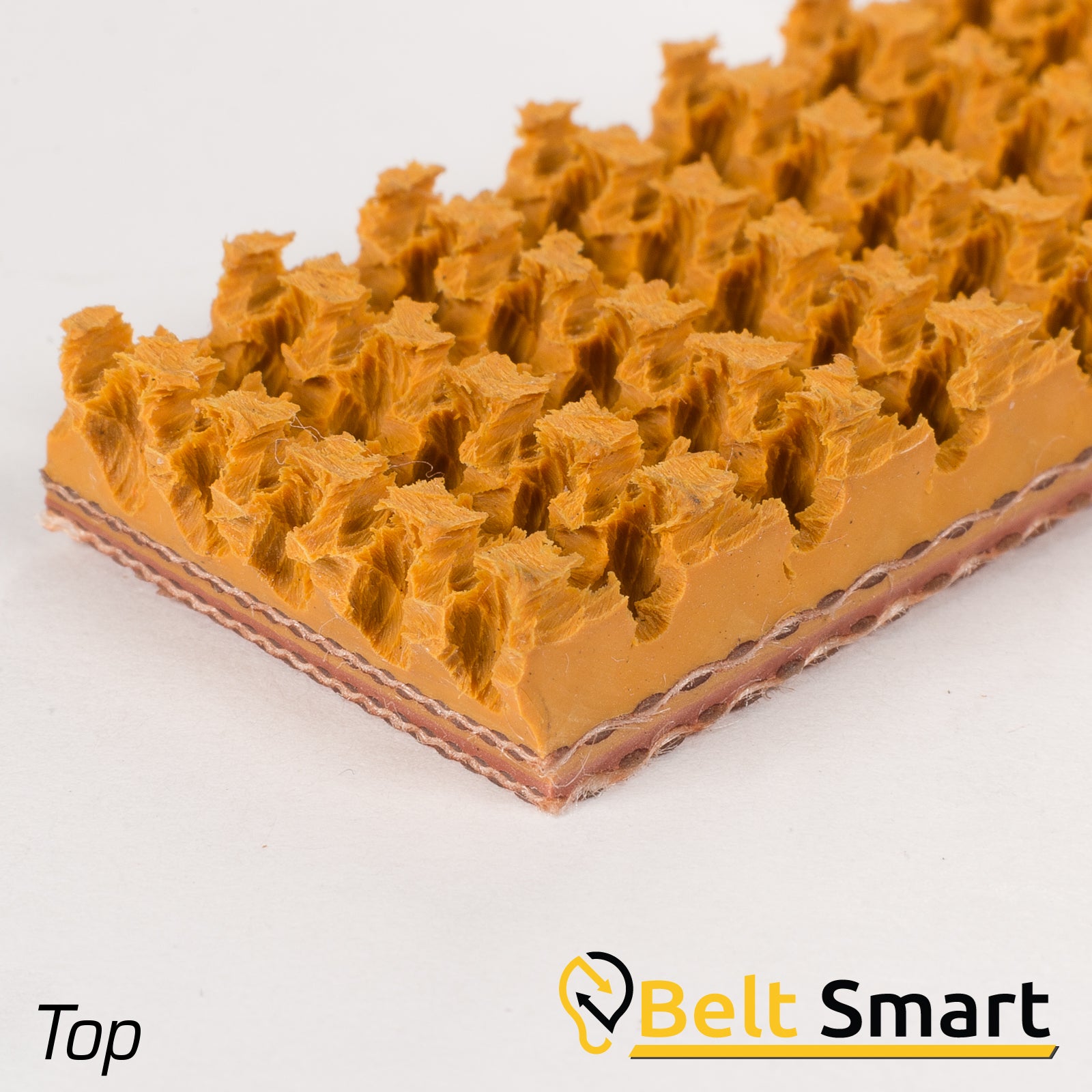 BS055- #55 Beltservice 2 Ply 150 Tan Roughtop x Bare Conveyor Belt