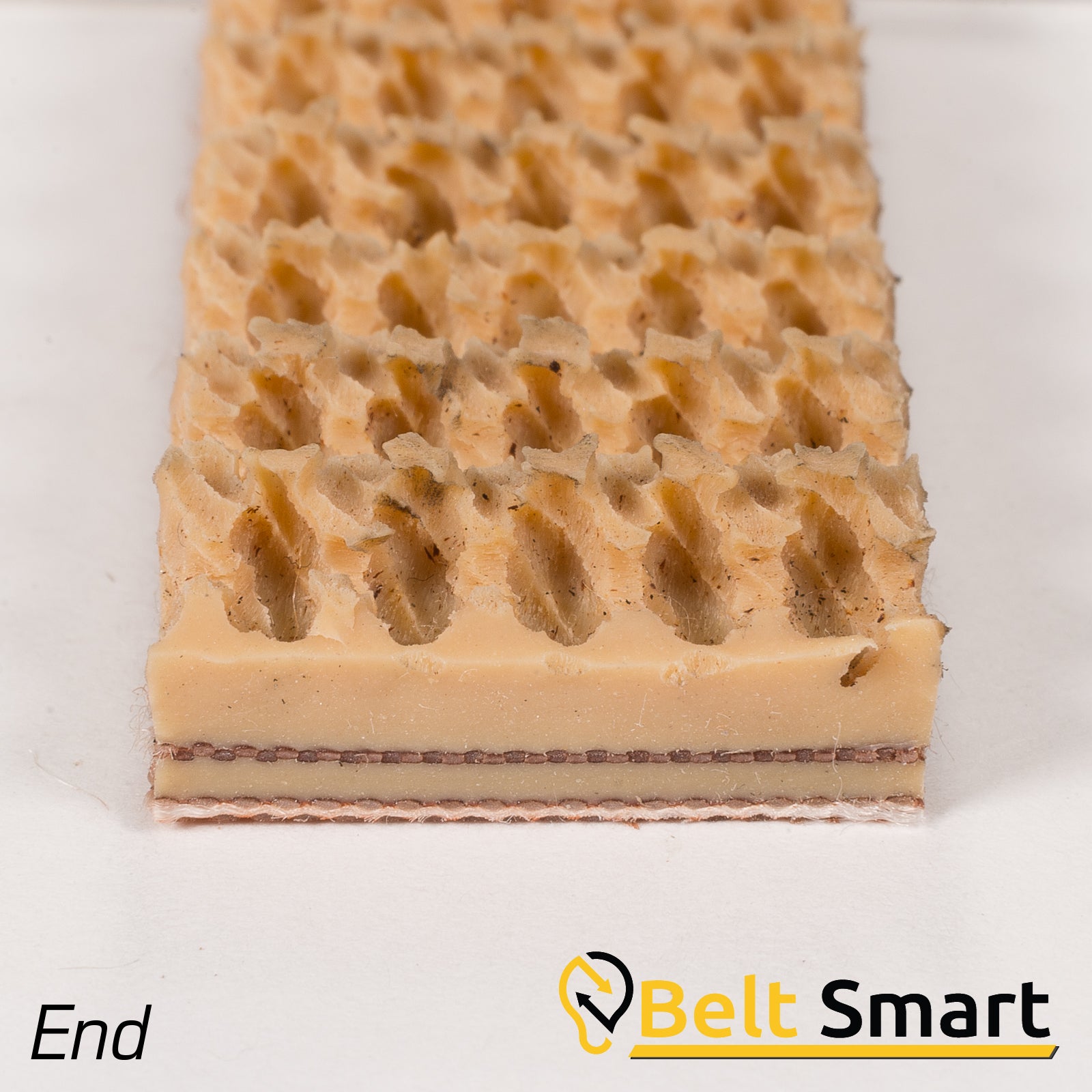 BS059A - #59a Beltservice 2 Ply 160 Tan Pure Gum Roughtop x Bare Conveyor Belt
