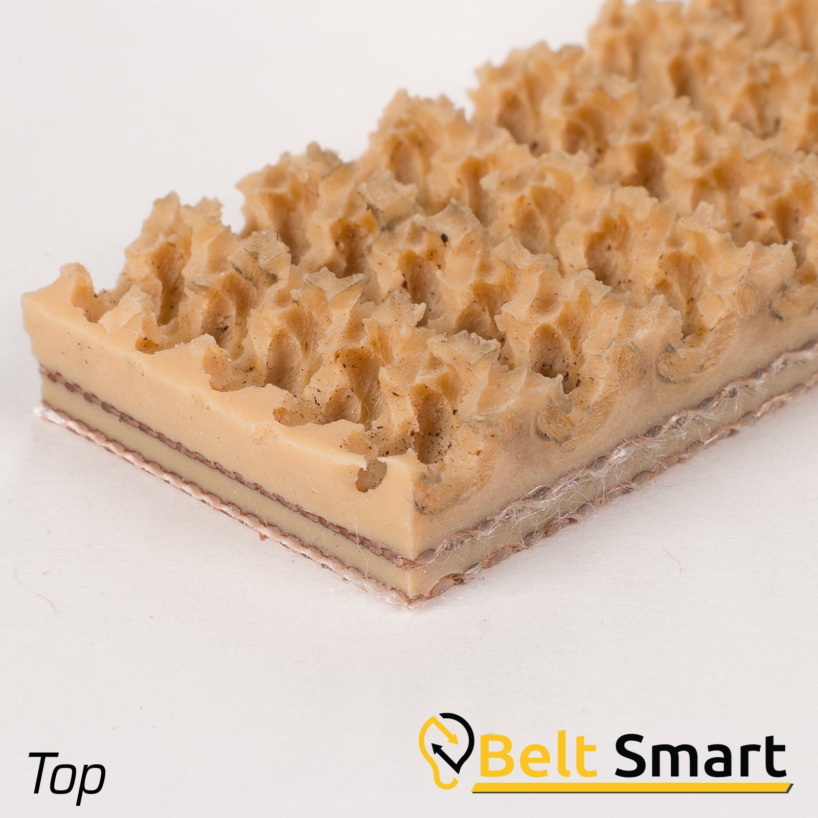 BS059A - #59a Beltservice 2 Ply 160 Tan Pure Gum Roughtop x Bare Conveyor Belt