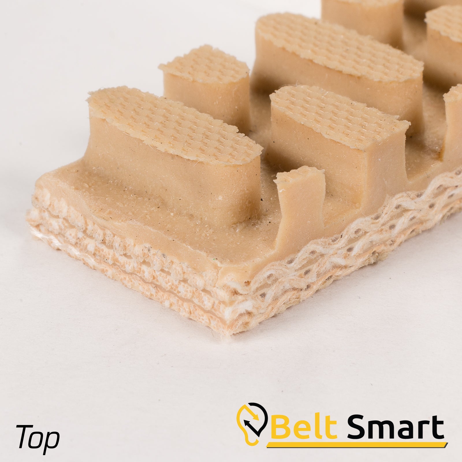 BS065 - #65 Beltservice 3 Ply CP30 Tan Genuine Pure Gum Steepgrade x FS Conveyor Belt
